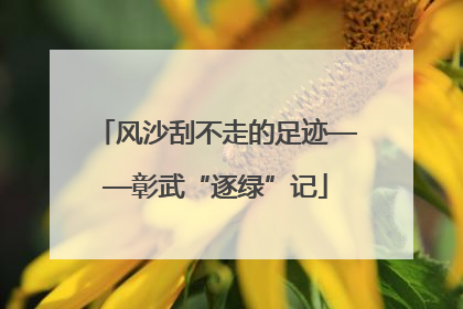 风沙刮不走的足迹——彰武“逐绿”记