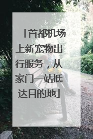 首都机场上新宠物出行服务，从家门一站抵达目的地
