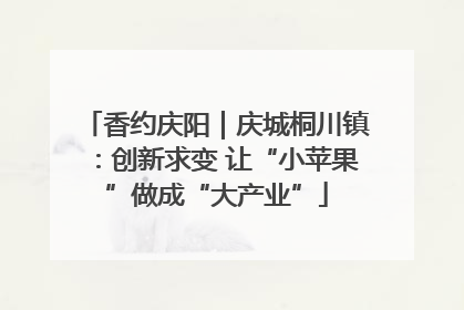 香约庆阳｜庆城桐川镇：创新求变 让“小苹果”做成“大产业”