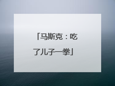 马斯克：吃了儿子一拳