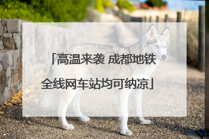 高温来袭 成都地铁全线网车站均可纳凉