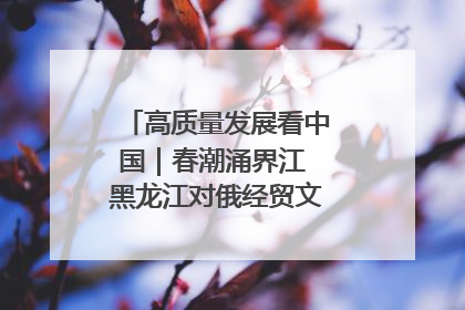 高质量发展看中国｜春潮涌界江 黑龙江对俄经贸文旅交流绿意盎然