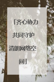齐心协力 共同守护清朗网络空间