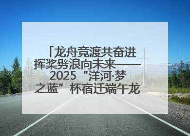 龙舟竞渡共奋进 挥桨劈浪向未来——2025“洋河·梦之蓝”杯宿迁端午龙舟赛侧记