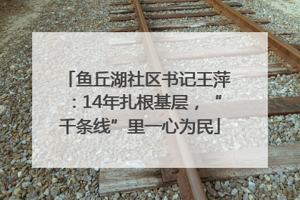 鱼丘湖社区书记王萍：14年扎根基层，“千条线”里一心为民