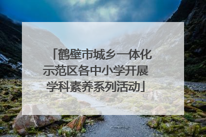 鹤壁市城乡一体化示范区各中小学开展学科素养系列活动
