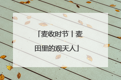 麦收时节丨麦田里的观天人
