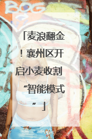 麦浪翻金！襄州区开启小麦收割“智能模式”