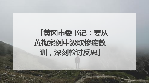 黄冈市委书记：要从黄梅案例中汲取惨痛教训，深刻检讨反思