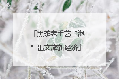 黑茶老手艺“泡”出文旅新经济