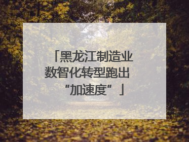 黑龙江制造业数智化转型跑出“加速度”