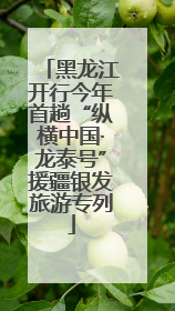 黑龙江开行今年首趟“纵横中国·龙泰号”援疆银发旅游专列