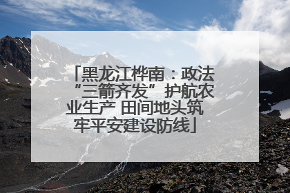 黑龙江桦南：政法“三箭齐发”护航农业生产 田间地头筑牢平安建设防线