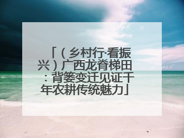 （乡村行·看振兴）广西龙脊梯田：背篓变迁见证千年农耕传统魅力