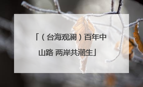 （台海观澜）百年中山路 两岸共潮生