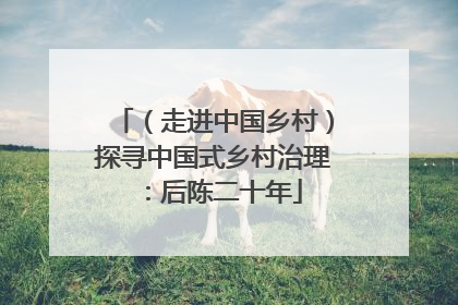 （走进中国乡村）探寻中国式乡村治理：后陈二十年