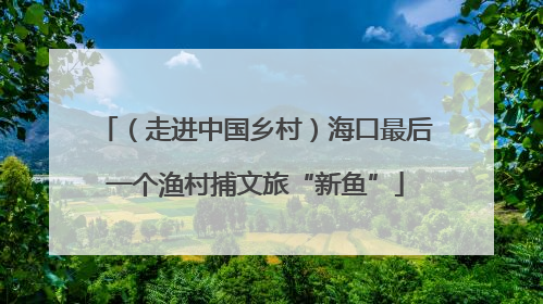（走进中国乡村）海口最后一个渔村捕文旅“新鱼”