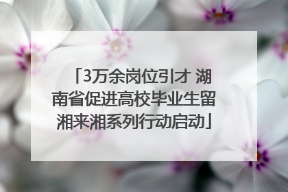 3万余岗位引才 湖南省促进高校毕业生留湘来湘系列行动启动