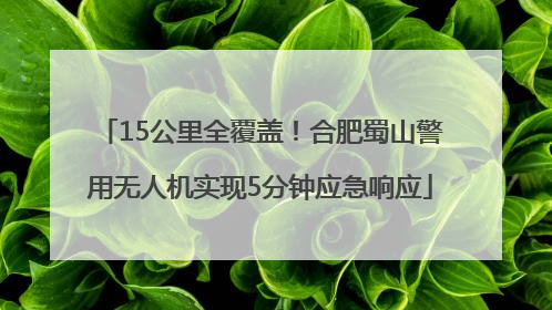 15公里全覆盖！合肥蜀山警用无人机实现5分钟应急响应