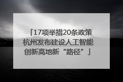 17项举措20条政策 杭州发布建设人工智能创新高地新“路径”