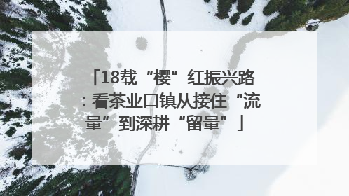 18载“樱”红振兴路：看茶业口镇从接住“流量”到深耕“留量”