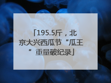 195.5斤，北京大兴西瓜节“瓜王”重量破纪录