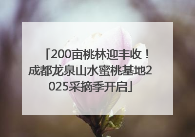 200亩桃林迎丰收！成都龙泉山水蜜桃基地2025采摘季开启
