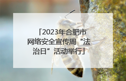 2023年合肥市网络安全宣传周“法治日”活动举行