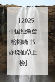 2025中国独角兽榜揭晓 书亦烧仙草上榜