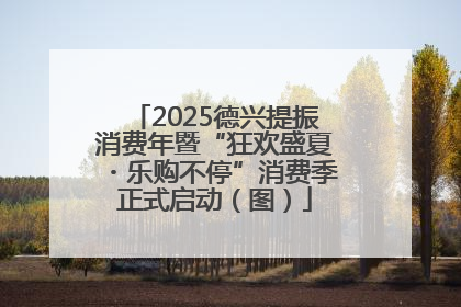 2025德兴提振消费年暨“狂欢盛夏・乐购不停”消费季正式启动（图）