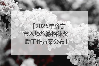 2025年济宁市入境旅游招徕奖励工作方案公布