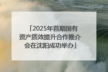 2025年首期国有资产质效提升合作推介会在沈阳成功举办