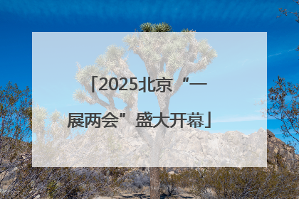 2025北京“一展两会”盛大开幕