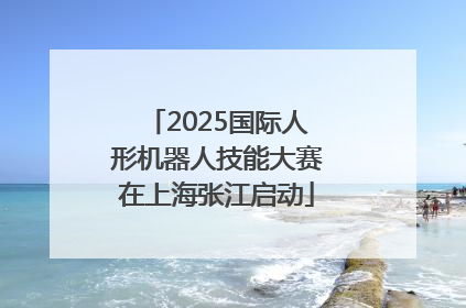 2025国际人形机器人技能大赛在上海张江启动