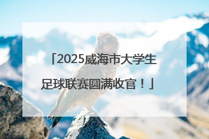 2025威海市大学生足球联赛圆满收官！