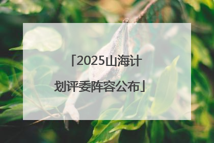 2025山海计划评委阵容公布
