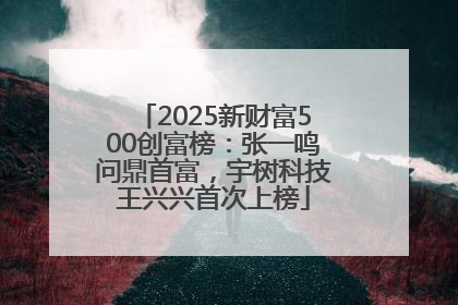 2025新财富500创富榜：张一鸣问鼎首富，宇树科技王兴兴首次上榜