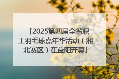2025第四届全省职工羽毛球嘉年华活动（湘北赛区）在益阳开幕