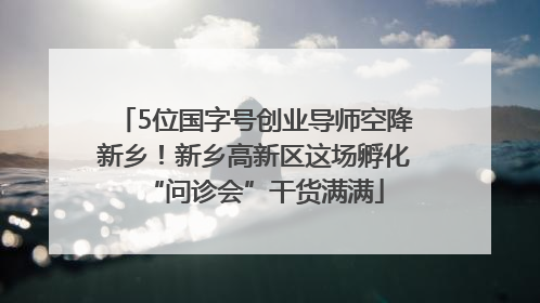 5位国字号创业导师空降新乡！新乡高新区这场孵化“问诊会”干货满满