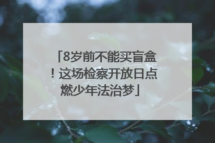 8岁前不能买盲盒！这场检察开放日点燃少年法治梦