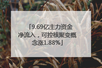 9.69亿主力资金净流入，可控核聚变概念涨1.88%