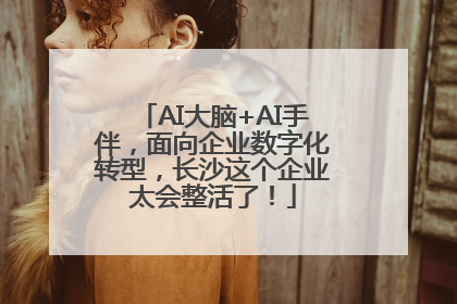 AI大脑+AI手伴，面向企业数字化转型，长沙这个企业太会整活了！