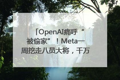 OpenAI痛呼“被偷家”！Meta一周挖走八员大将，千万美元薪酬战开打