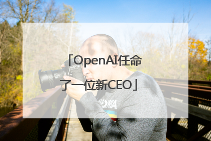 OpenAI任命了一位新CEO