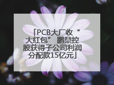 PCB大厂收“大红包” 鹏鼎控股获得子公司利润分配款15亿元